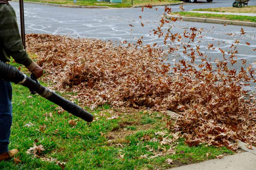 Blowing Grass Clippings & Debris image