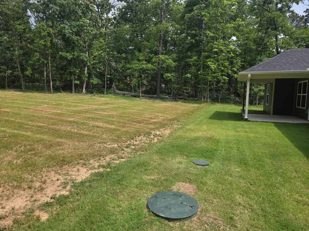 Lawn Mowing image