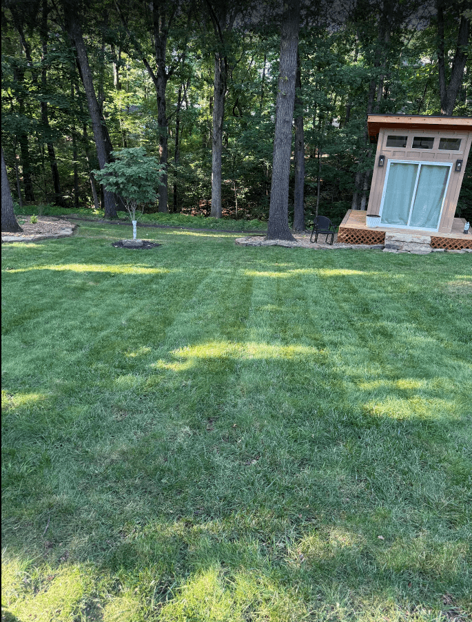 Gallery photos for 5-Star Lawn Mowing and a Happy Customer Worth Celebrating: Image #1
